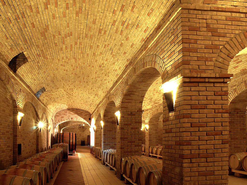 Кирпич SELMO LEADER LINE, Macchiato, 250x120x55, S.Anselmo